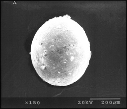 http://astro.wsu.edu/worthey/astro/html/im-meteor/micrometeorite.jpg