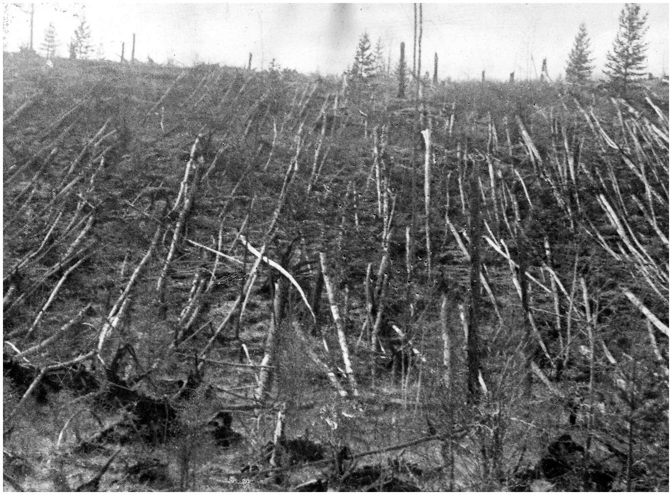 tunguska-photo.jpg