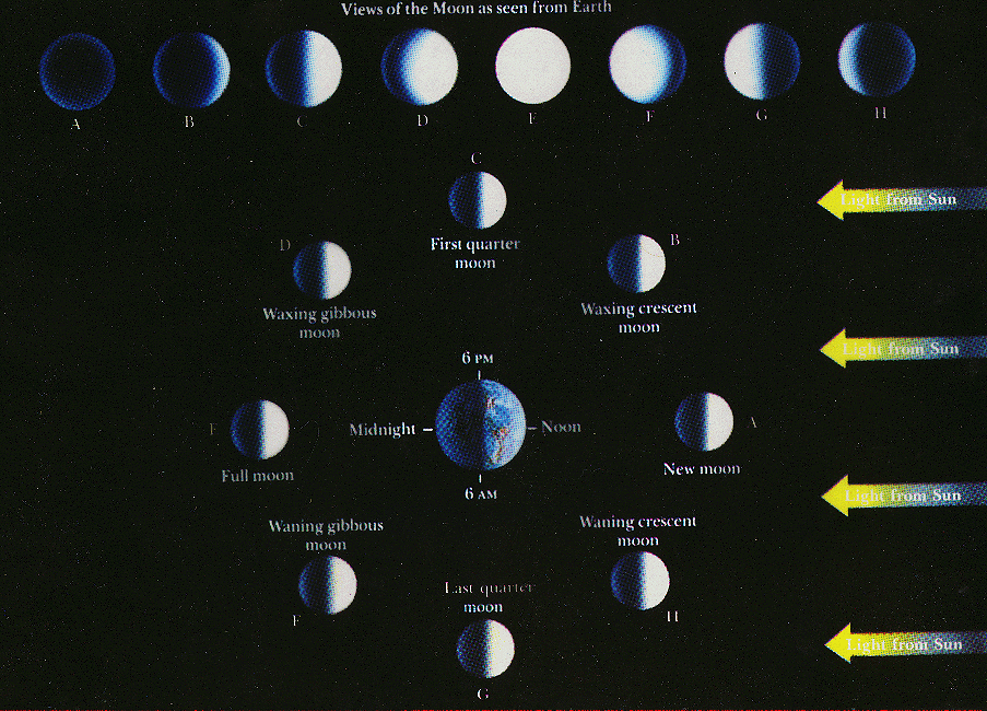 moon phases. Moon Phases